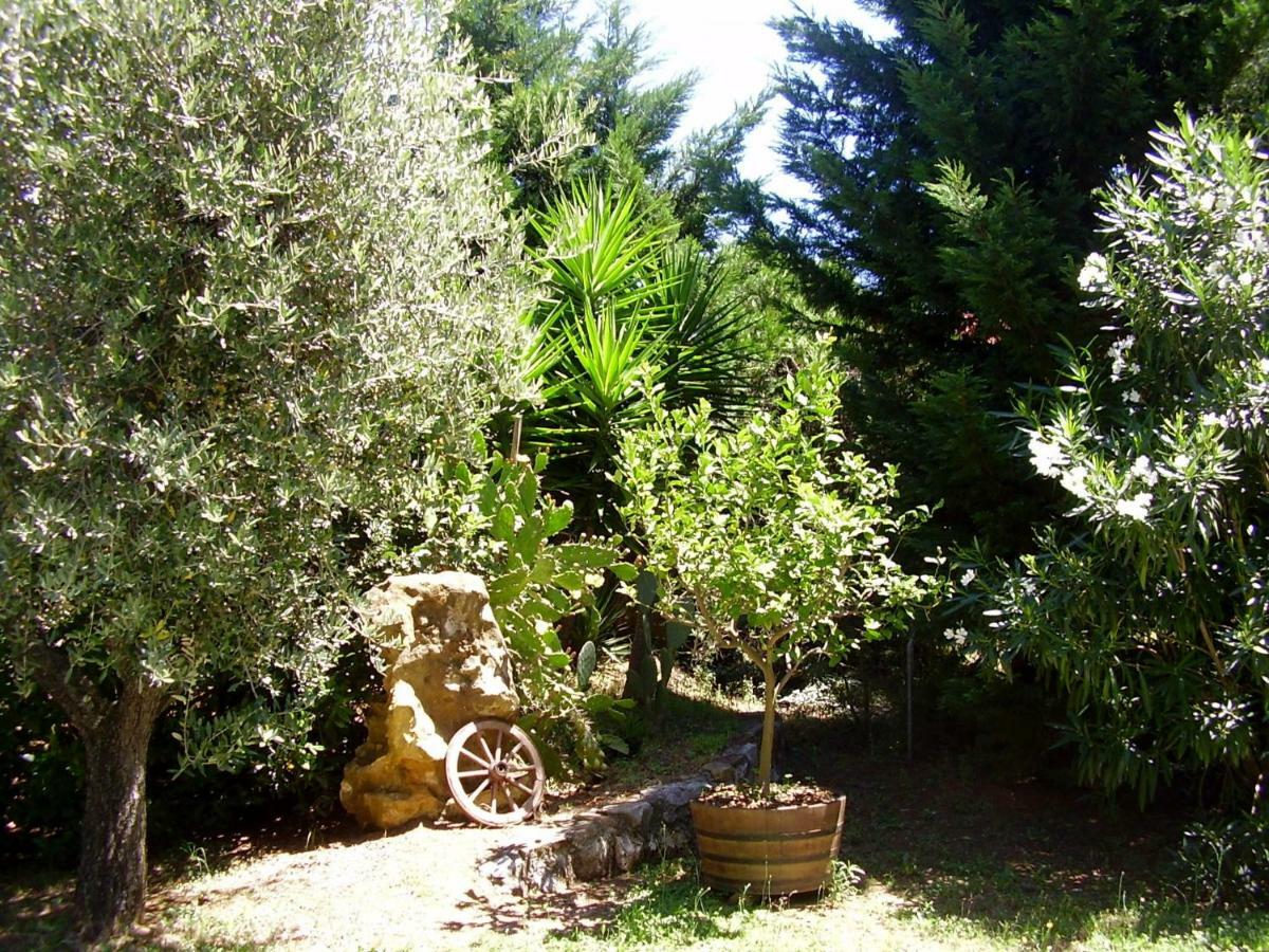 Podere Belvedere Cecina Cecina  Exterior foto