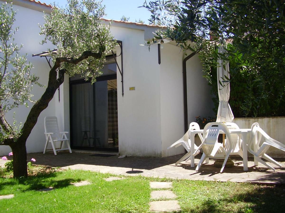 Podere Belvedere Cecina Cecina  Exterior foto