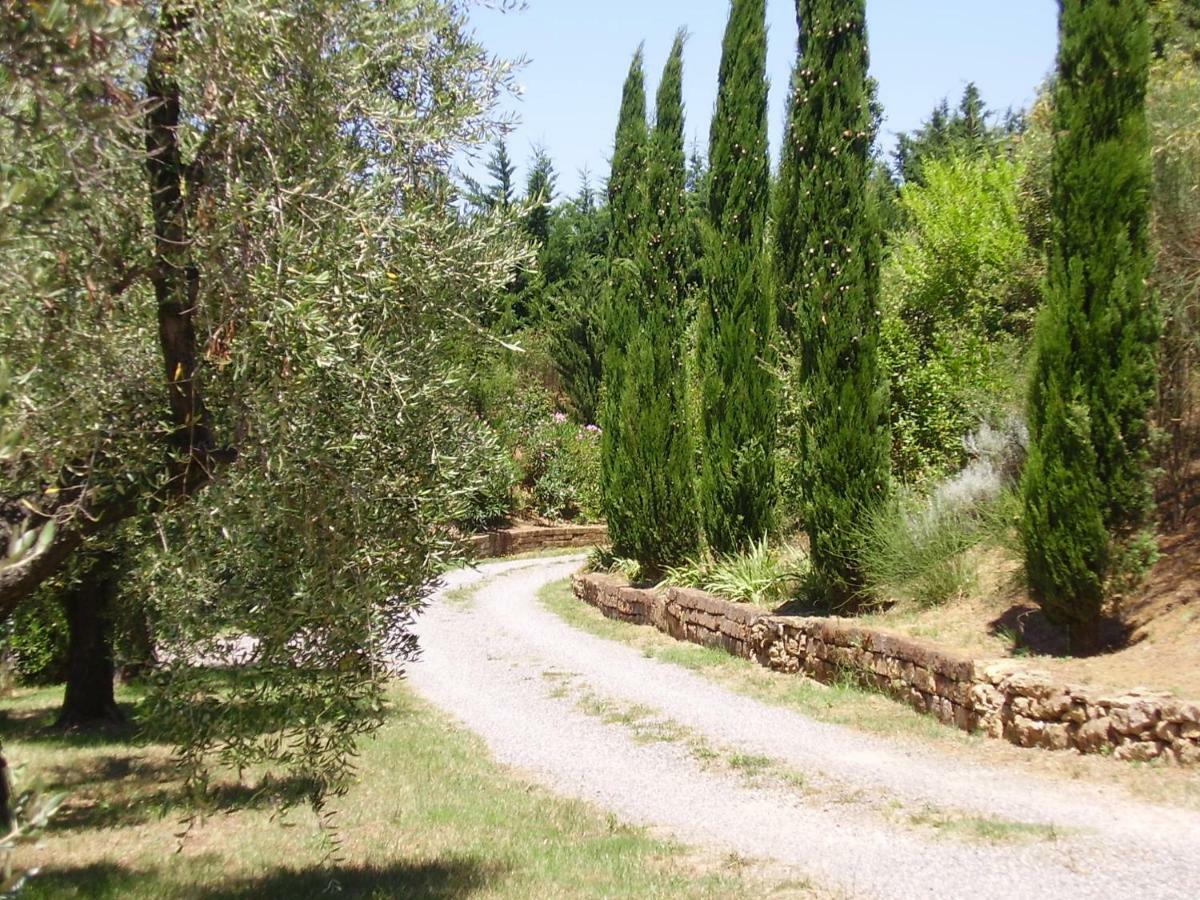 Podere Belvedere Cecina Cecina  Exterior foto