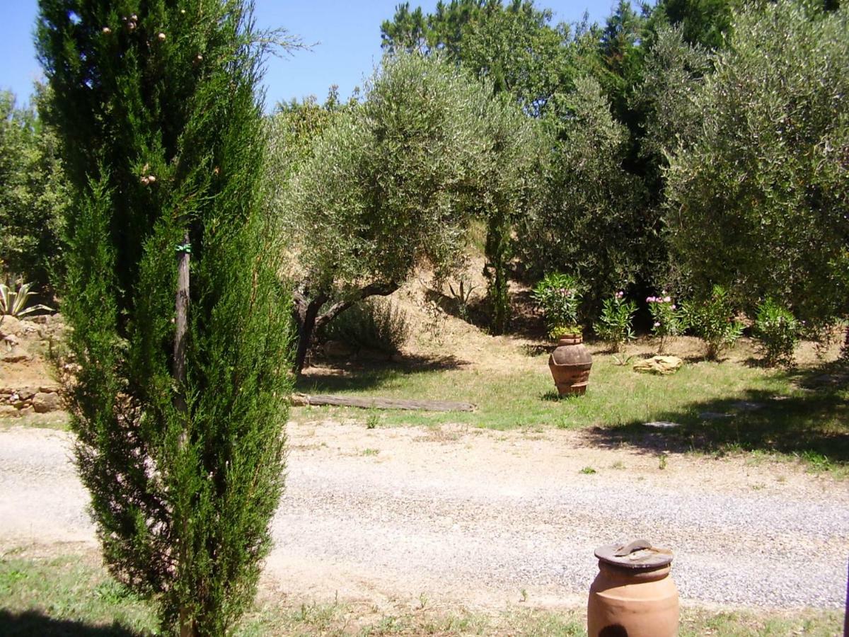 Podere Belvedere Cecina Cecina  Exterior foto