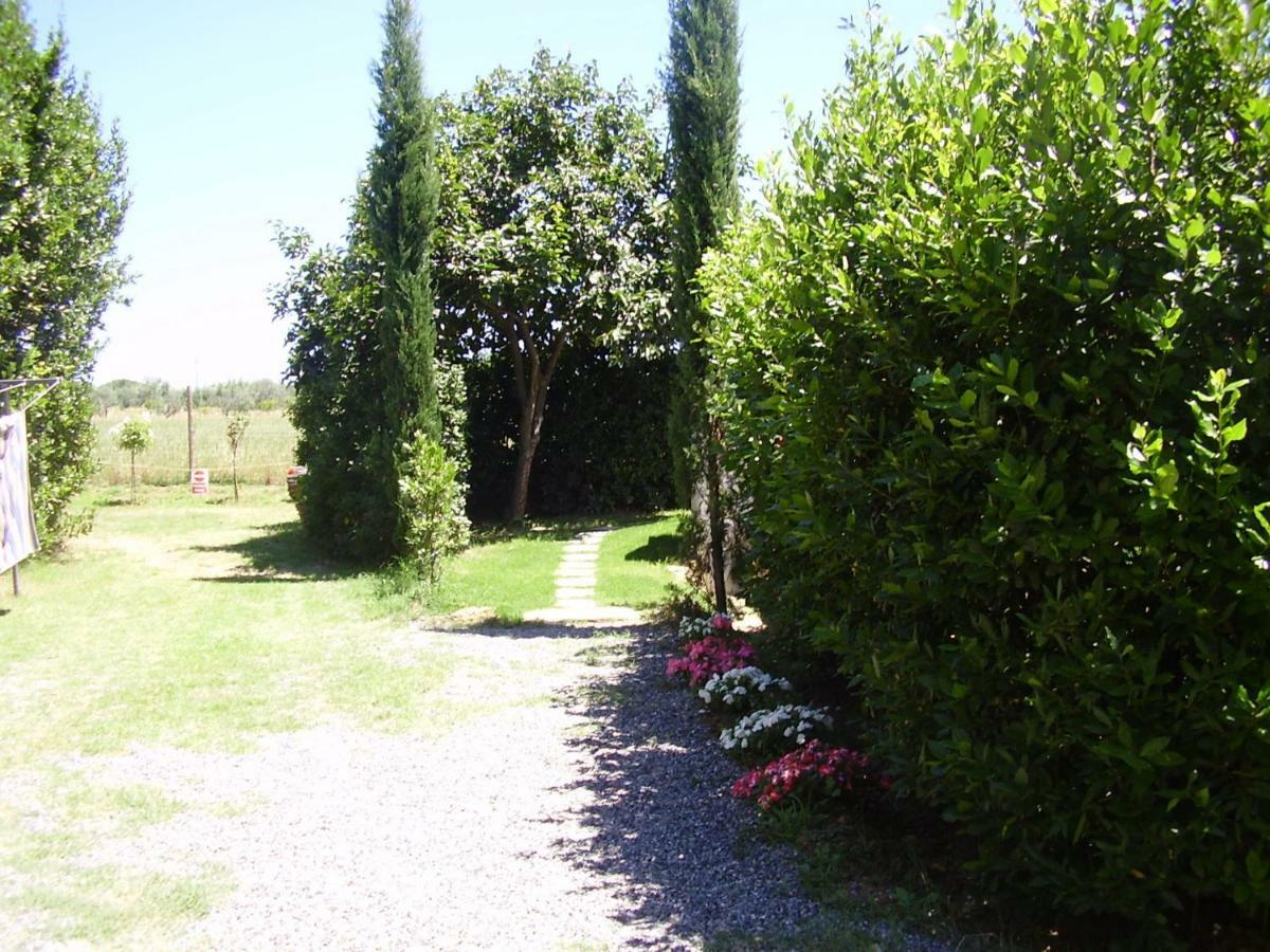 Podere Belvedere Cecina Cecina  Exterior foto